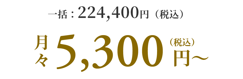 月々5,300円（税込）〜