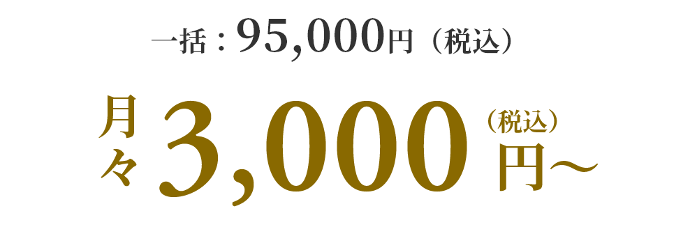 月々3,000円（税込）〜