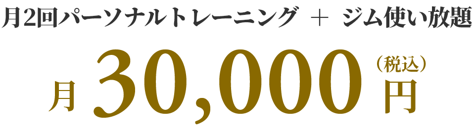 月2回パーソナルトレーニング＋ジム使い放題 月30,000円（税込）